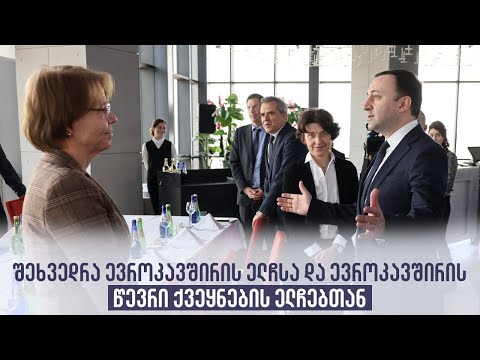 შეხვედრა ევროკავშირის ელჩსა და ევროკავშირის წევრი ქვეყნების ელჩებთან